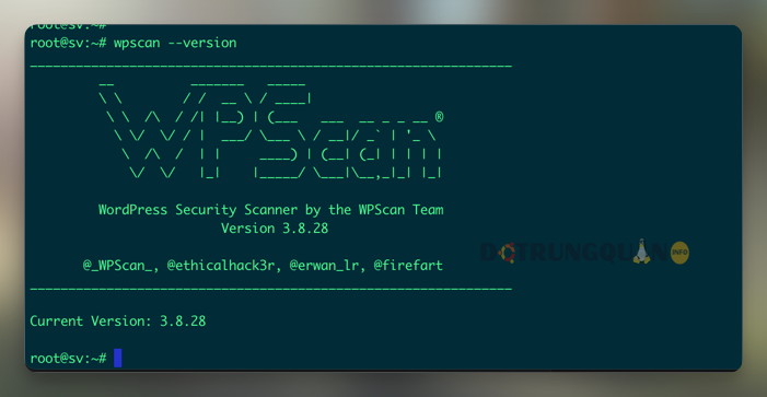 Sử dụng WPScan Để Quét Bảo Mật Website WordPress