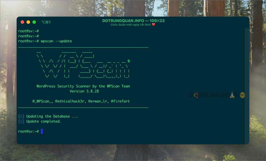Sử dụng WPScan Để Quét Bảo Mật Website WordPress