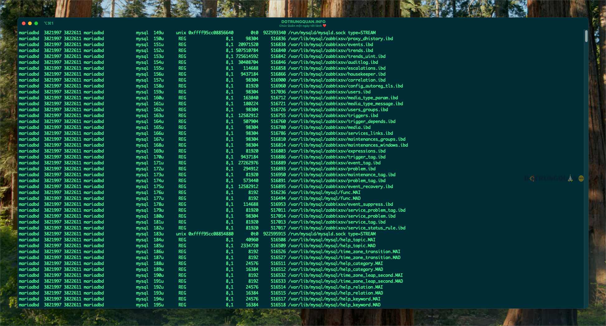 Hướng dẫn sử dụng lệnh lsof trong Linux 4 sử dụng lệnh lsof trong Linux
