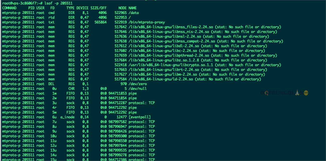 Hướng dẫn sử dụng lệnh lsof trong Linux 5 sử dụng lệnh lsof trong Linux