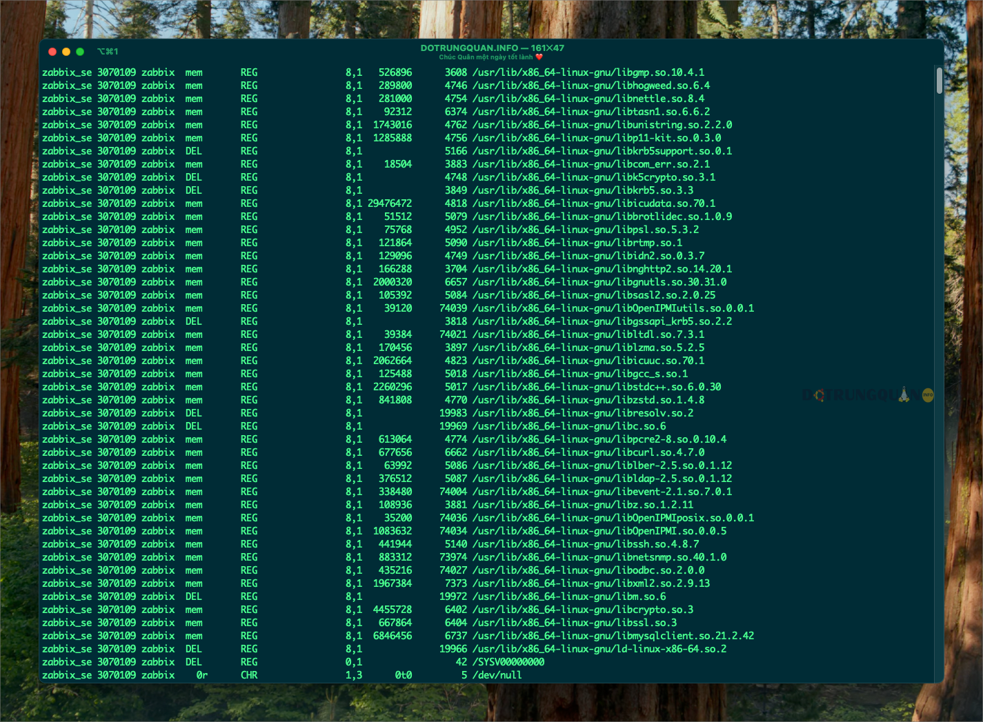 Hướng dẫn sử dụng lệnh lsof trong Linux 6 sử dụng lệnh lsof trong Linux