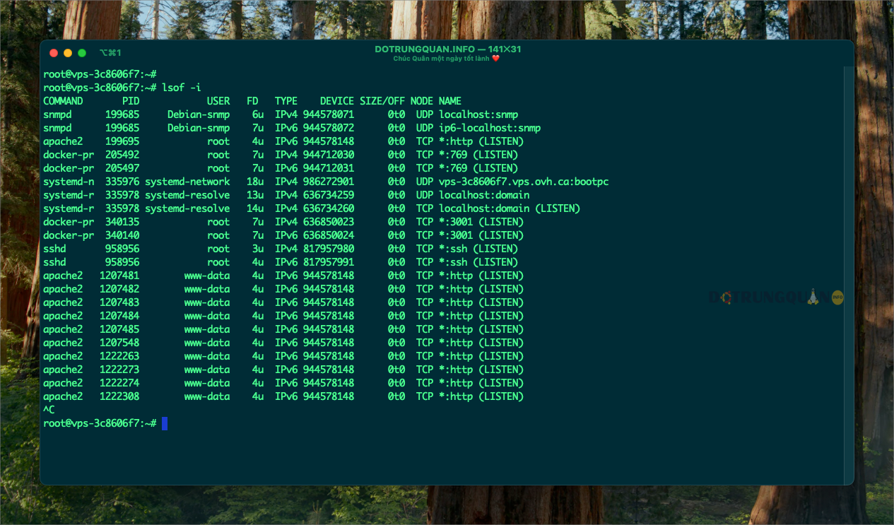 Hướng dẫn sử dụng lệnh lsof trong Linux 8 sử dụng lệnh lsof trong Linux