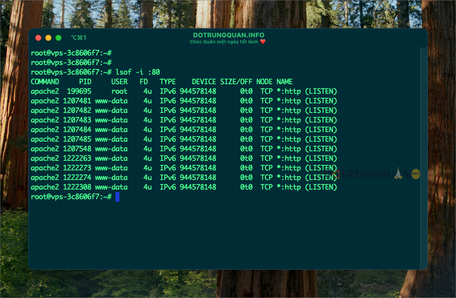 Hướng dẫn sử dụng lệnh lsof trong Linux 9 sử dụng lệnh lsof trong Linux