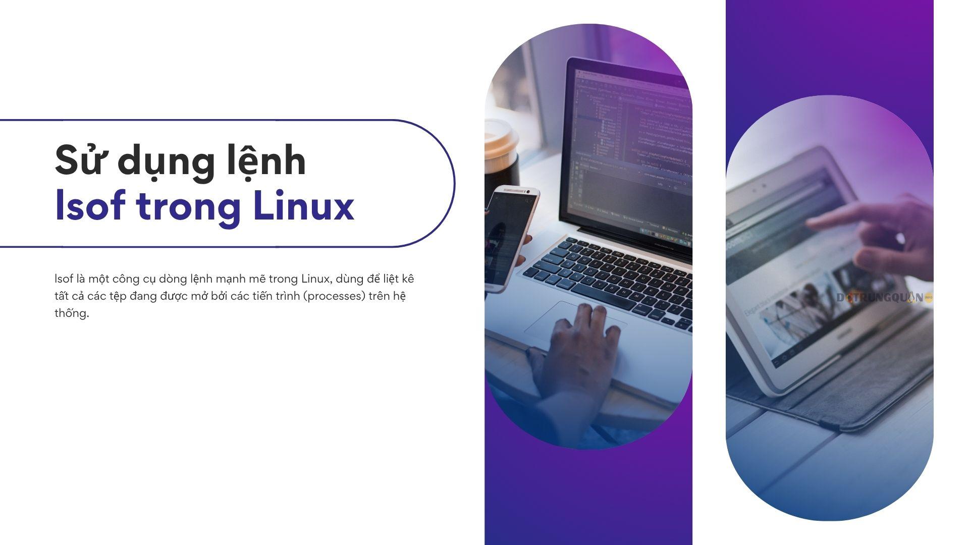 Hướng dẫn sử dụng lệnh lsof trong Linux 3 lenh lsof trong linux 1