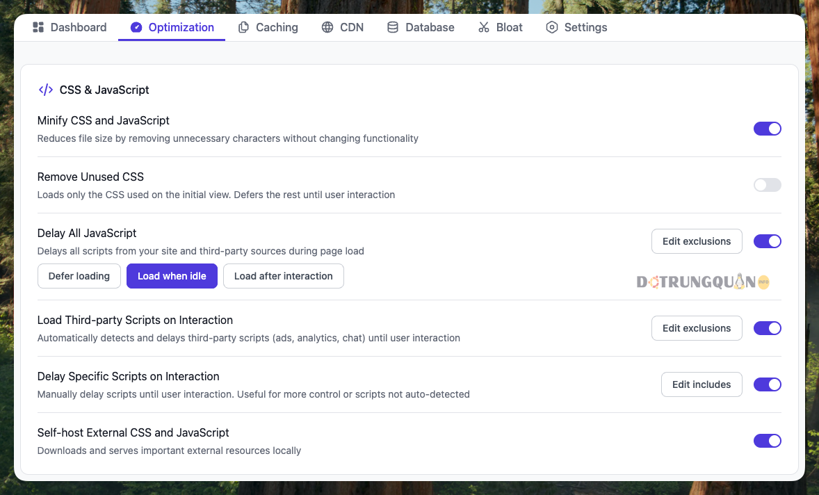 Tối Ưu Tốc Độ WordPress Với FlyingPress Pro
