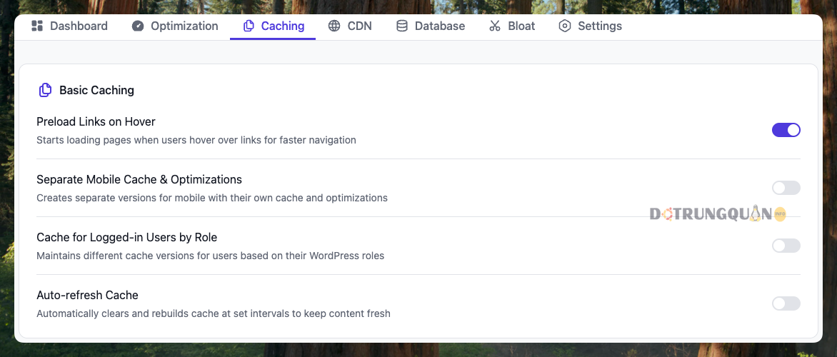Tối Ưu Tốc Độ WordPress Với FlyingPress Pro