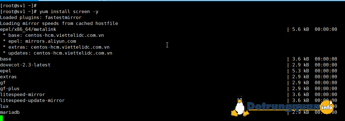 Hướng dẫn cài đặt Screen và sử dụng Screen trên Linux 2 install screen dotrungquan